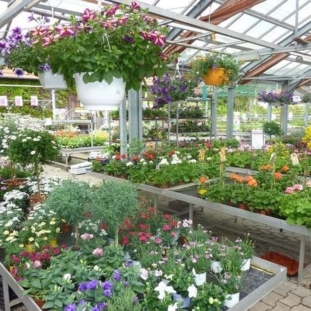 Verschieden Blumen und Blumenampeln in unserem Gartencenter