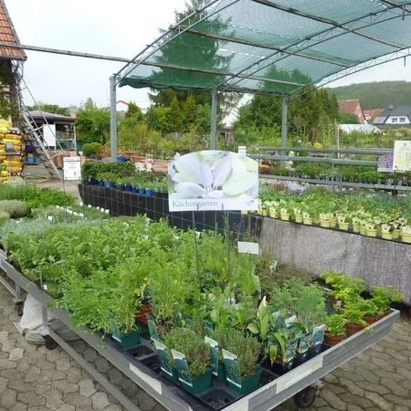 Küchengarten - Verschiedene Kräuter etc.