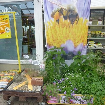 Bienenfreundliche Stauden