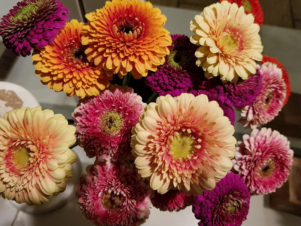 schnittblumen01_1631537065